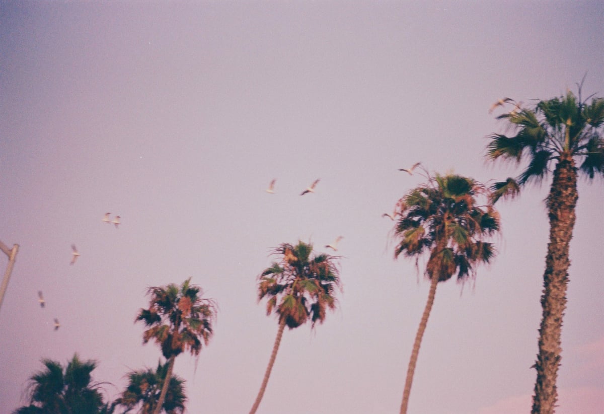 Beautiful sunset scene San Diego shot on 135mm film